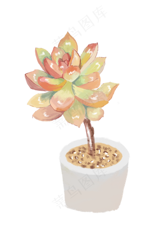 小清新多肉植物彩色绿色植物盆栽,免抠元素