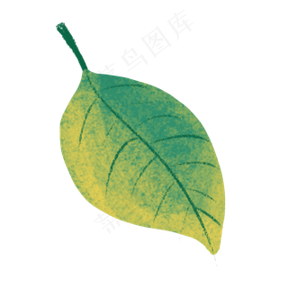 春季黄绿色树叶素材