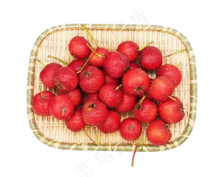 山楂果新鲜果实