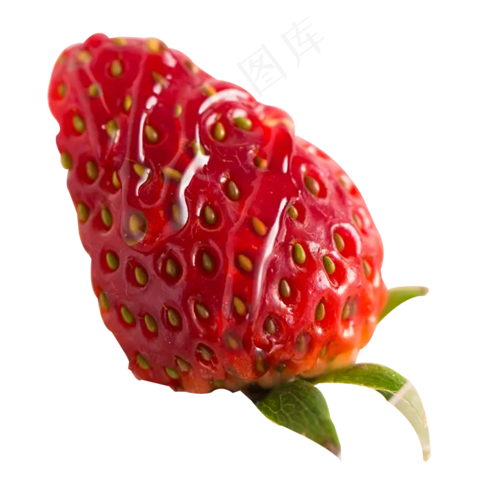 实拍园地种植饭后水果草莓(3000X3000(DPI:300))psd模版下载