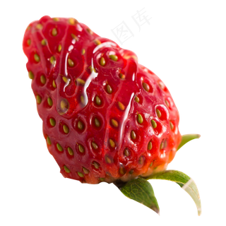 实拍园地种植饭后水果草莓