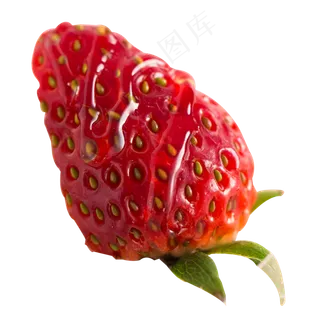 实拍园地种植饭后水果草莓