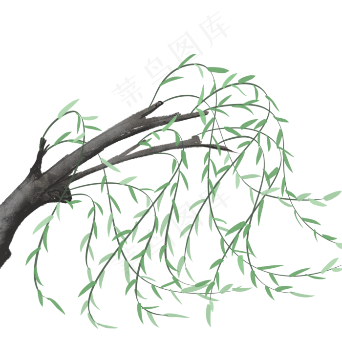 春风中柳叶跳动着优美的舞姿