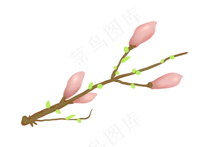 绿色的嫩芽和粉色的花朵