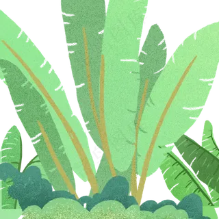 一片绿色的枝叶植物