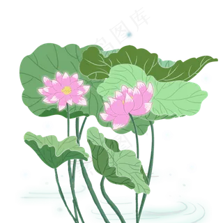 粉色手绘荷花荷叶