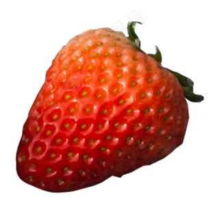 实拍种植水果草莓