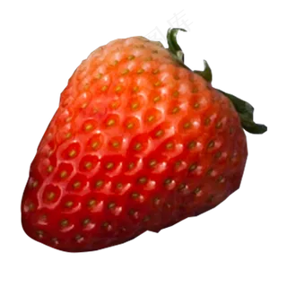 实拍种植水果草莓