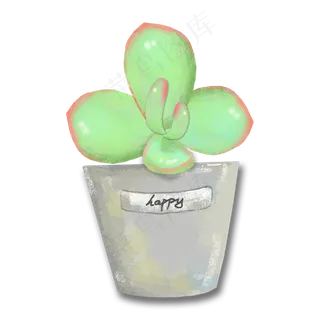 一盆绿色的多肉盆栽免抠图