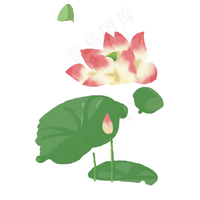 美丽夏天荷花(2000X2000(DPI:300))psd模版下载