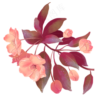 古风花花开海棠花