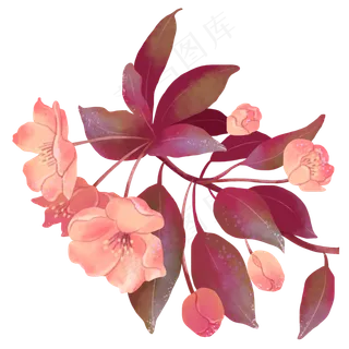 古风花花开海棠花 古风花花开海棠花