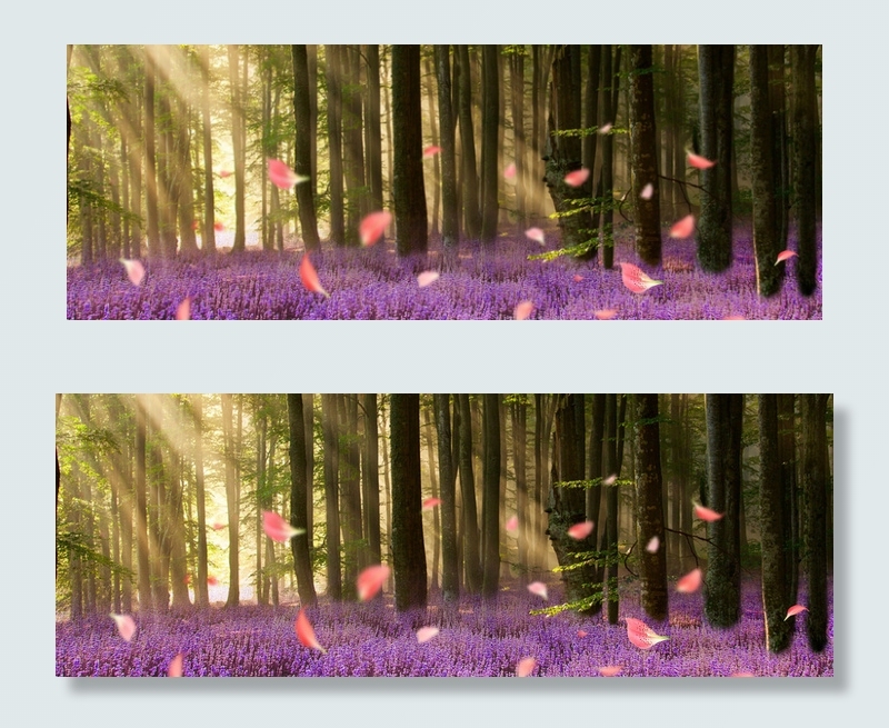 春天质感树木背景10