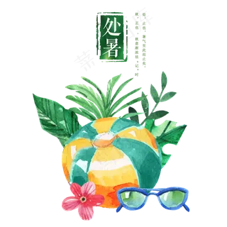 泳圈墨镜花朵树叶