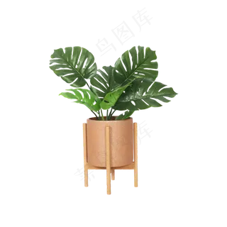 卡通盆栽植物下载