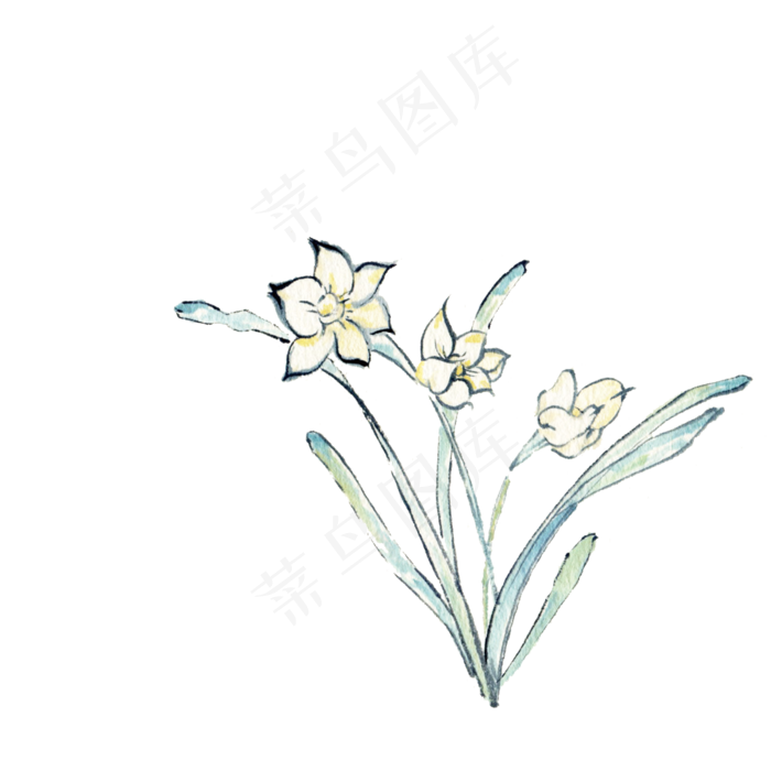 中国古风花卉插画兰花