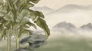 国画工笔芭蕉树和山石