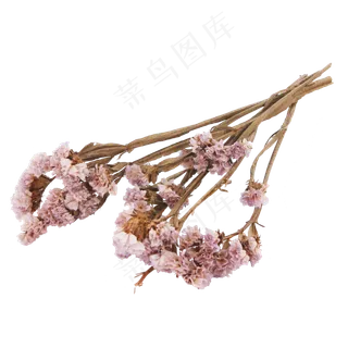 粉色干花