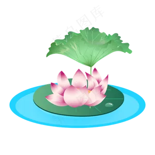 池塘荷花荷叶 池塘荷花荷叶