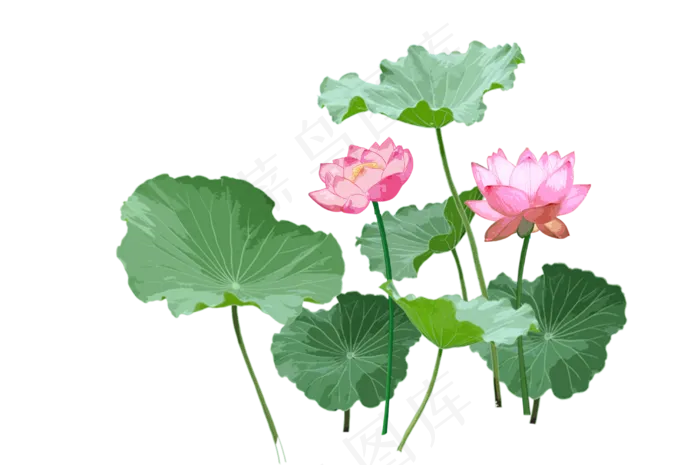 手绘水墨荷叶荷花,免抠元素