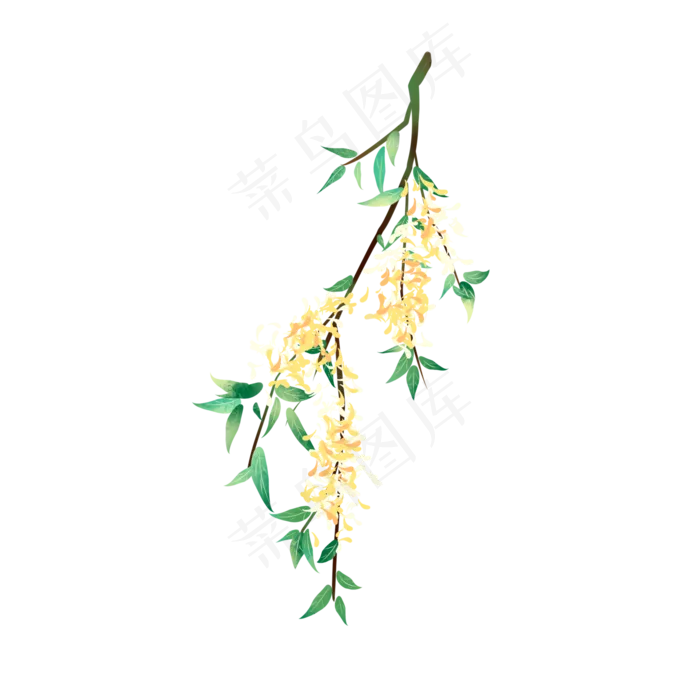 小清新水彩桂花枝(2000X2000(DPI:96))psd模版下载