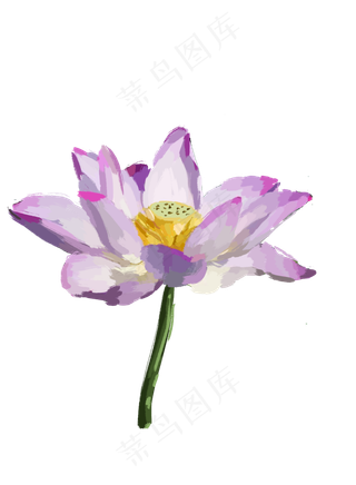 夏天写实荷花免抠图