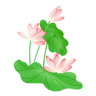 春夏荷花png素材