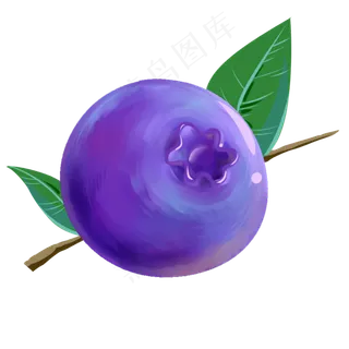枝头独秀大蓝莓一个