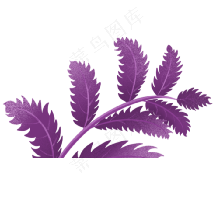 枝叶春季自然植物