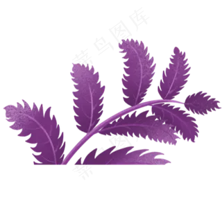 枝叶春季自然植物