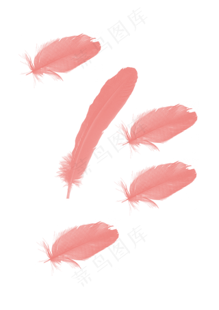 粉色羽毛免扣素材,免抠元素