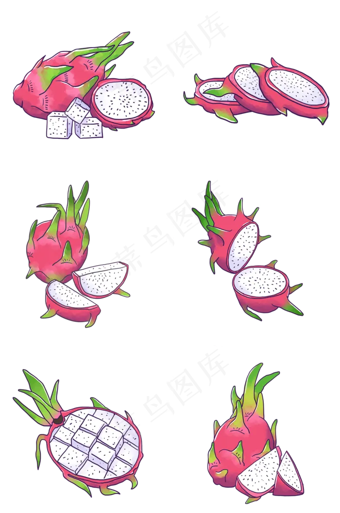 手绘热带水果火龙果组图PNG免(2000X3020(DPI:300))psd模版下载