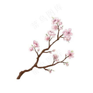 开花枝条桃花素材,免抠元素