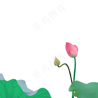 手绘荷花荷叶免抠