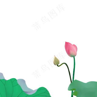 手绘荷花荷叶免抠