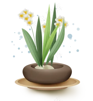 古风水仙花盆栽