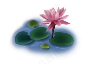 夏至手绘淡粉色荷花