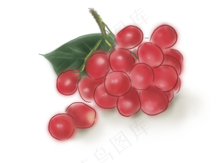 中国风手绘水果葡萄