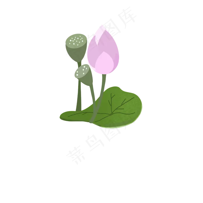 夏天手绘粉色荷花荷叶扁平风(2500X2500(DPI:300))psd模版下载