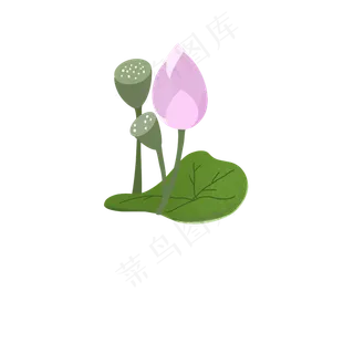 夏天手绘粉色荷花荷叶扁平风