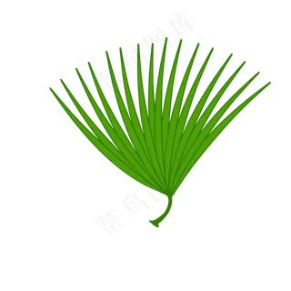绿色植物叶子芭蕉叶子
