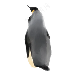 企鹅商用元素