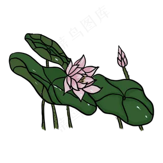 手绘中国风荷花PNG素材
