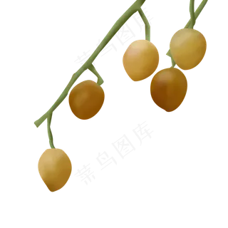 夏季水果果子黄皮 夏季水果果子黄皮