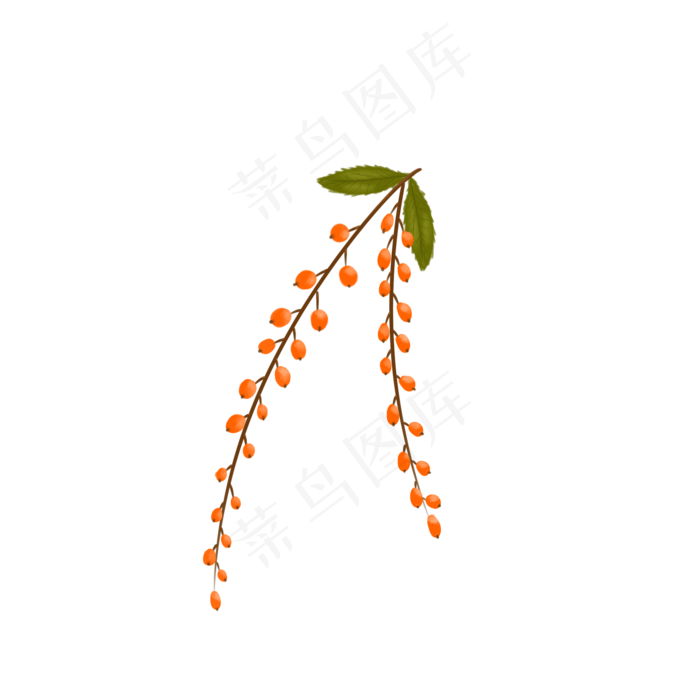 处暑水果植物丰收二十四节气