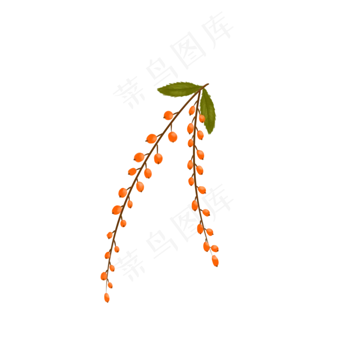 处暑水果植物丰收二十四节气(2000X2000(DPI:300))psd模版下载