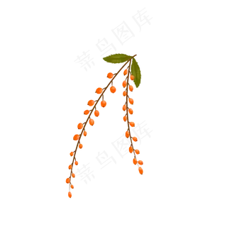 处暑水果植物丰收二十四节气