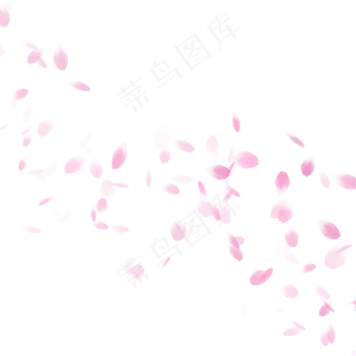 玫粉玫瑰花瓣飘舞