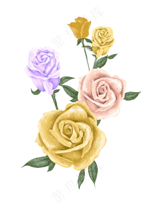 水彩玫瑰