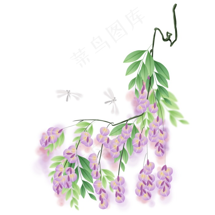 紫藤萝和蜻蜓